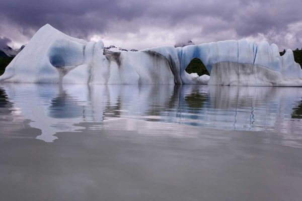Alaska, Alsek River Valley Iceberg on Alsek Lake